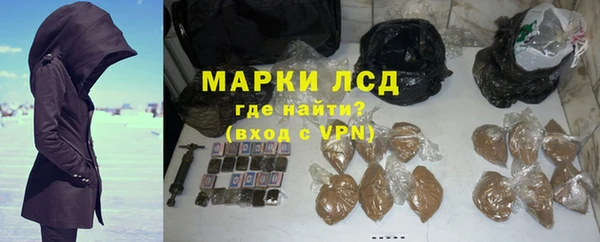 ПСИЛОЦИБИНОВЫЕ ГРИБЫ Абаза