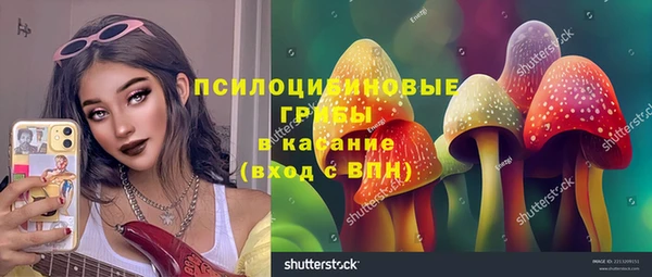 ПСИЛОЦИБИНОВЫЕ ГРИБЫ Абаза