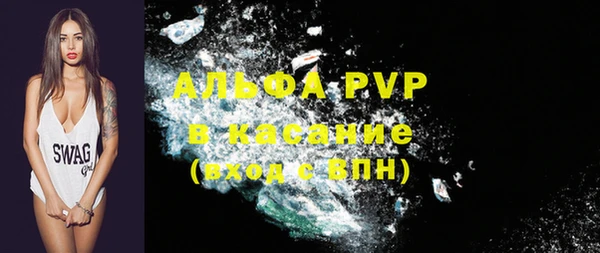 ПСИЛОЦИБИНОВЫЕ ГРИБЫ Абаза