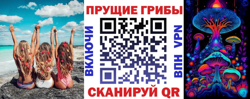 Псилоцибиновые грибы Psilocybine cubensis  Александровск 